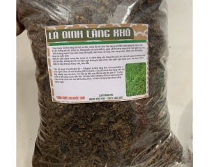 Uống nước lá đinh lăng có tác dụng trị bệnh gì? Uống nhiều tốt không?