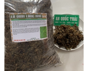 Uống nước lá đinh lăng có tác dụng trị bệnh gì? Uống nhiều tốt không?