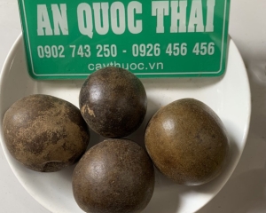 Tác dụng của la hán quả là gì? Mua quả la hán ở đâu TP HCM? Giá bán?