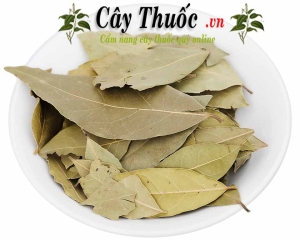 Lá nguyệt quế khô [ hình ảnh, công dụng ] làm gia vị mua ở đâu TPHCM?
