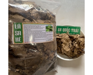 Lá sa kê chữa bệnh gì? Tác dụng của lá sa kê trị bệnh tiểu đường, gút.