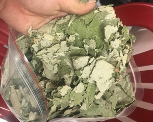 Lá sen có tác dụng gì? Uống nước lá sen khô có tác dụng giảm cân.