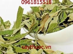 Lá sen có tác dụng gì? Uống nước lá sen khô có tác dụng giảm cân.