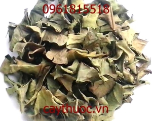 Tác dụng của lá vối là gì? Cách pha trà nước lá vối. Mua ở đâu TP HCM?