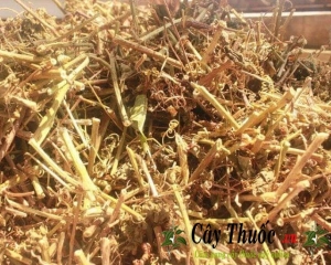 Cây lạc tiên có tác dụng gì? Cách uống trà lạc tiên trị bệnh mất ngủ?