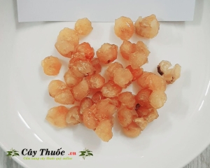 Long nhãn là gì? Tác dụng của long nhãn? Mua  ở đâu? Giá bán bao nhiêu