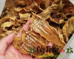 Măng khô: Cách nấu món ngon tại nhà đơn giản ai cũng cần biết.