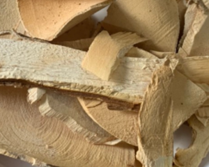 Cây Mật Nhân [Tác dụng, cách sử dụng chữa bênh, hình ảnh mật nhân].