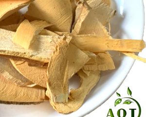 Cây Mật Nhân [Tác dụng, cách sử dụng chữa bênh, hình ảnh mật nhân].