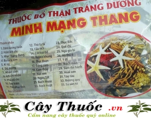Minh mạng thang: Địa chỉ bán thang thuốc ngâm rượu minh mạng uy tín.