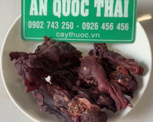 Mủ gòn [thu hoạch, tác dụng, cách dùng] đặc sản tuyệt vời cho sức khỏe