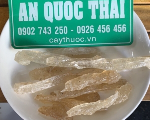 Mủ trôm có tác dụng là gì? Cách nấu và pha chế mũ trôm để uống.