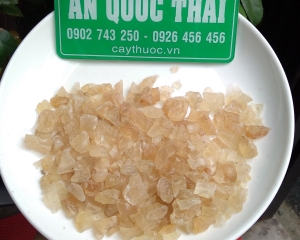 Mủ trôm có tác dụng là gì? Cách nấu và pha chế mũ trôm để uống.