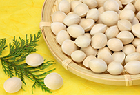 Bạch quả[Công dụng,cách chế biến]Mua bạch quả ở đâu tại TP Hồ Chí Minh