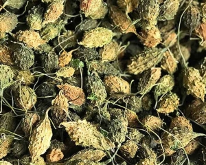 Mướp đắng có tác dụng gì? Uống nước mướp đắng hàng ngày có tốt không?