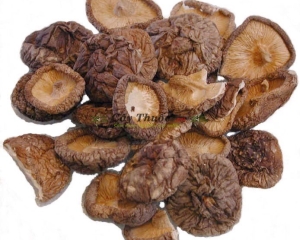 Nấm đông cô có tác dụng gì? Bà bầu có ăn được không? Địa chỉ bán ở đâu