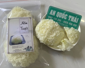 Nấm tuyết là gì? Tác dụng, các nấu món ngon bổ dưỡng cho mọi nhà.