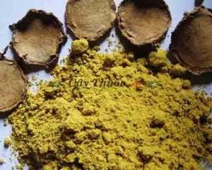 Nghê đen: tác dụng của nghệ đen, cách dùng trị bệnh và làm đẹp diệu kỳ