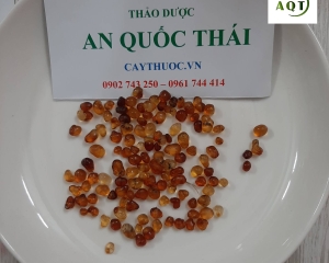 Nhựa đào là gì? Nhựa đào với công dụng tuyệt vời cho tiêu hóa, làn da.