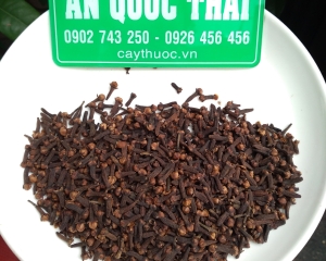 Nụ đinh hương sấy khô tác dụng gì? Nụ (hoa) đinh hương mua ở đâu?