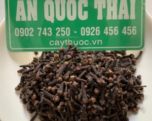 Nụ đinh hương sấy khô tác dụng gì? Nụ (hoa) đinh hương mua ở đâu?