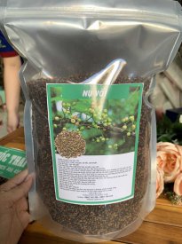 Nụ vối: Tác dụng của trà nụ vối khô, địa chỉ bán tại TP HCM.