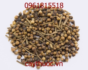 Nụ vối: Tác dụng của trà nụ vối khô, địa chỉ bán tại TP HCM.