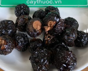 Bồ hòn là gì? Công dụng, tác dụng của quả (trái) bồ hòn là gì?