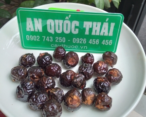 Bồ hòn là gì? Công dụng, tác dụng của quả (trái) bồ hòn là gì?