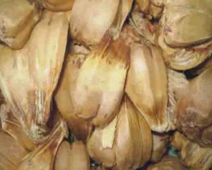 Quả dứa dại có tác dụng thần kỳ chữa trị bệnh gout, viêm gan hiệu quả.