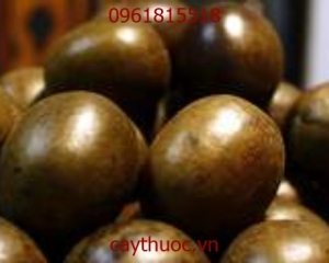 Tác dụng của la hán quả là gì? Mua quả la hán ở đâu TP HCM? Giá bán?