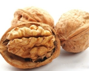 Quả óc chó có tác dụng gì? Giá bán bao nhiêu 1kg? Mua ở đâu uy tín?