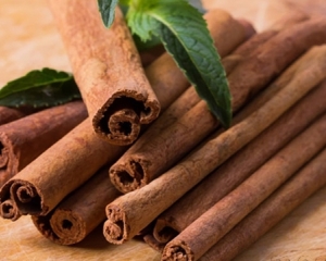 Cây quế (vỏ quế) có tác dụng gì? Mua ở đâu tại TP HCM uy tín