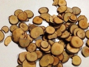 Quế chi là gì? Là vị thuốc thường dùng trong bài quế chi thang.