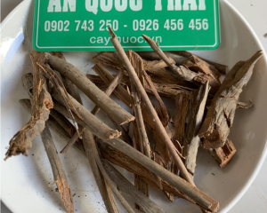 Rễ cau có tác dụng gì? Rễ cau mọc ngược ngâm rượu chữa bệnh liệt dương