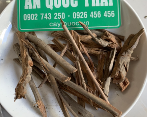 Rễ cau có tác dụng gì? Rễ cau mọc ngược ngâm rượu chữa bệnh liệt dương