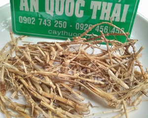 Cỏ tranh:Hình ảnh, tác dụng chữa bênh, cách nấu rễ cỏ tranh, Mua ở dâu