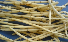 Cỏ tranh:Hình ảnh, tác dụng chữa bênh, cách nấu rễ cỏ tranh, Mua ở dâu