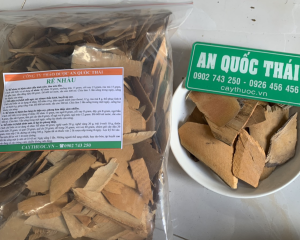 Rễ nhàu ngâm rượu có tác dụng ổn định huyết áp