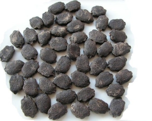 Rượu hạt gấc: Cách ngâm, tác dụng chữa bệnh, địa chỉ bán tại TP HCM.