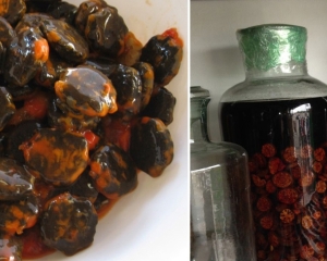 Rượu hạt gấc: Cách ngâm, tác dụng chữa bệnh, địa chỉ bán tại TP HCM.