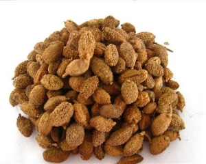 Sa nhân là gì? Thuốc chữa bệnh từ cây sa nhân có tác dụng gì?