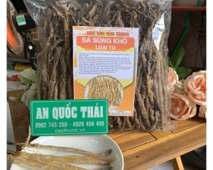 Sá sùng là gì? Hình ảnh, tác dụng, cách chế biến sá sùng khô nấu cháo