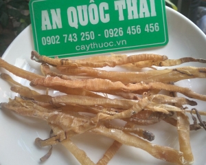 Sá sùng khô làm món gì ngon? Giá bao nhiêu và mua ở đâu?
