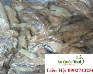 Sâm bố chính: Tác dụng, cách ngâm rượu, giá bán củ sâm bố chính khô.