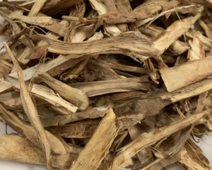 Sâm cau đỏ [Tác dụng, hình ảnh, cách ngâm rượu] bổ thận tráng dương