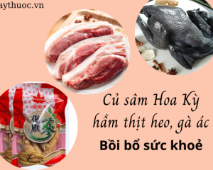 Nhân sâm Hoa Kỳ: 10 điều cần biết về dược liệu bổ dưỡng