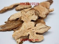 Bài thuốc sâm linh bạch truật tan có tác dụng trị bệnh thần kỳ.