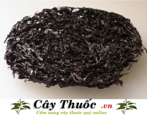 Tảo biển có tác dụng gì? Uống tảo biển bao lâu thì có tác dụng?