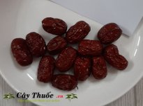 Táo đỏ món ăn vị thuốc thần kỳ [tác dụng, cách dùng, cách hãm trà]